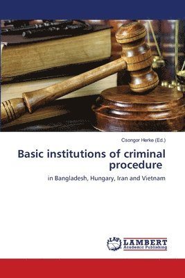 bokomslag Basic institutions of criminal procedure