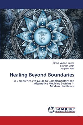 bokomslag Healing Beyond Boundaries