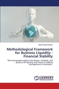 bokomslag Methodological Framework for Business Liquidity - Financial Stability
