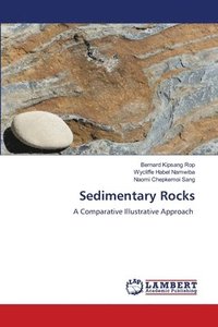 bokomslag Sedimentary Rocks
