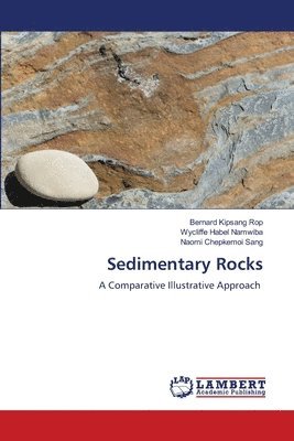 Sedimentary Rocks 1