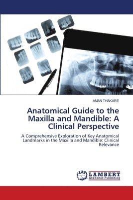 bokomslag Anatomical Guide to the Maxilla and Mandible: A Clinical Perspective