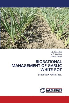 bokomslag Biorational Management of Garlic White Rot