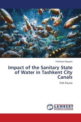 bokomslag Impact of the Sanitary State of Water in Tashkent City Canals