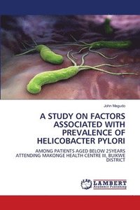 bokomslag Study on Factors Associated with Prevalence of Helicobacter Pylori