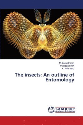 insects