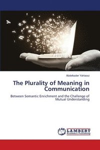 bokomslag Plurality of Meaning in Communication