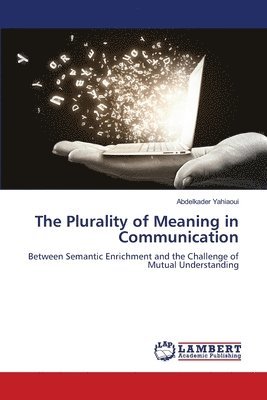 bokomslag Plurality of Meaning in Communication
