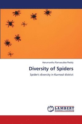 bokomslag Diversity of Spiders