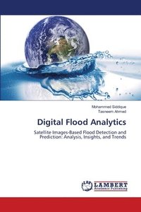 bokomslag Digital Flood Analytics