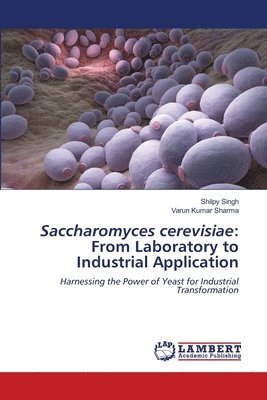 bokomslag Saccharomyces cerevisiae