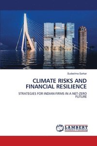 bokomslag Climate Risks and Financial Resilience