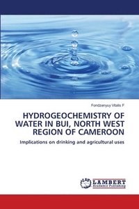 bokomslag Hydrogeochemistry of Water in Bui, North West Region of Cameroon