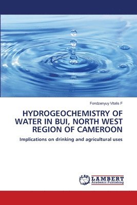 bokomslag Hydrogeochemistry of Water in Bui, North West Region of Cameroon