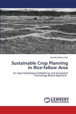 bokomslag Sustainable Crop Planning in Rice-fallow Area