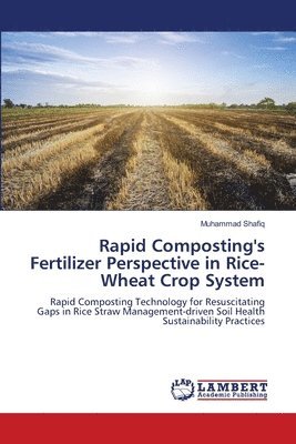 Muhammad Shafiq - Rapid Composting's Fertilizer Perspective in Rice-Wheat Crop System, Häftad