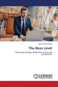 bokomslag Boss Level