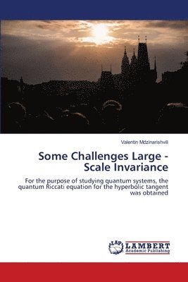 Valentin Mdzinarishvili - Some Challenges Large - Scale Invariance, Häftad