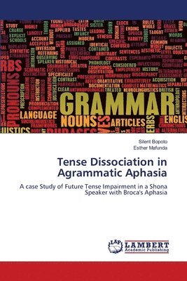 Silent Bopoto, Esther Mafunda - Tense Dissociation in Agrammatic Aphasia, Häftad