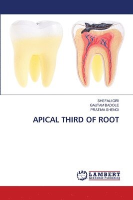 Shefali Giri, Gautam Badole, Pratima Shenoi, SHEFALI GIRI - Apical Third of Root, Häftad