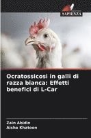 bokomslag Ocratossicosi in galli di razza bianca: Effetti benefici di L-Car