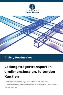 Dmitry Pozdnyakov - Ladungsträgertransport in eindimensionalen, leitenden Kanälen, Häftad