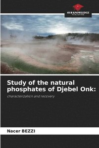 bokomslag Study of the natural phosphates of Djebel Onk