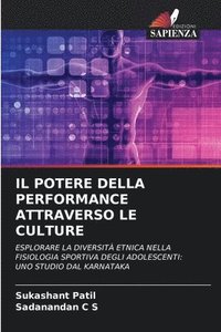 bokomslag Il Potere Della Performance Attraverso Le Culture