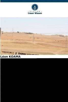bokomslag Land Grabbing in Burkina Faso