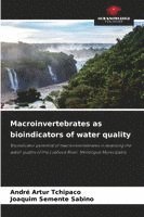 bokomslag Macroinvertebrates as bioindicators of water quality