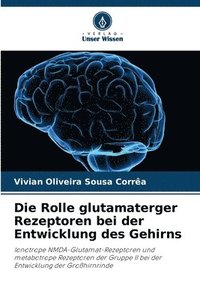 bokomslag Rolle glutamaterger Rezeptoren bei der Entwicklung des Gehirns