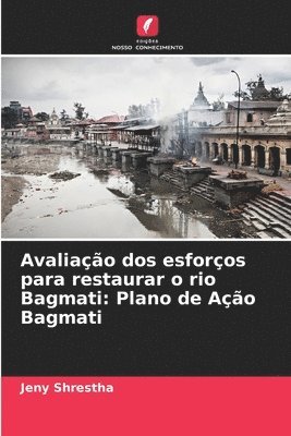 bokomslag Avaliação dos esforços para restaurar o rio Bagmati: Plano de Ação Bagmati