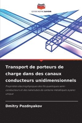 Dmitry Pozdnyakov - Transport de porteurs de charge dans des canaux conducteurs unidimensionnels, Häftad