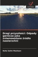 bokomslag Drogi przyszlo?ci: Odpady górnicze jako zrównowa?one ?ródlo nawierzchni