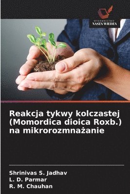 bokomslag Reakcja tykwy kolczastej (Momordica dioica Roxb.) na mikrorozmna?anie
