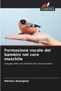 bokomslag Formazione vocale dei bambini nel coro maschile
