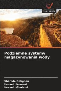 bokomslag Podziemne systemy magazynowania wody