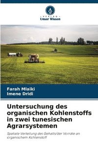 bokomslag Untersuchung des organischen Kohlenstoffs in zwei tunesischen Agrarsystemen