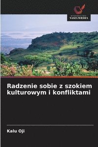bokomslag Radzenie sobie z szokiem kulturowym i konfliktami