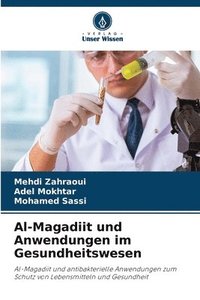bokomslag Al-Magadiit und Anwendungen im Gesundheitswesen