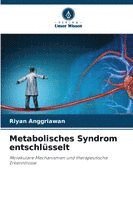 bokomslag Metabolisches Syndrom entschlüsselt