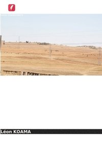 bokomslag A apropriação de terras no Burkina Faso