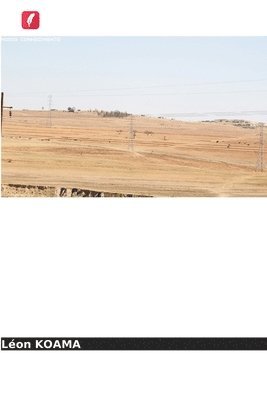 bokomslag A apropriação de terras no Burkina Faso