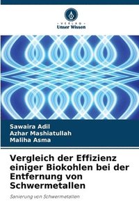 bokomslag Vergleich der Effizienz einiger Biokohlen bei der Entfernung von Schwermetallen