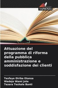 bokomslag Attuazione del programma di riforma della pubblica amministrazione e soddisfazione dei clienti