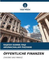 bokomslag Öffentliche Finanzen