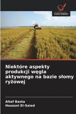 bokomslag Niektóre aspekty produkcji w?gla aktywnego na bazie slomy ry?owej
