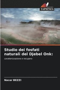 bokomslag Studio dei fosfati naturali del Djebel Onk: