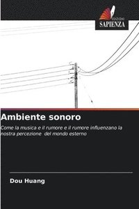 bokomslag Ambiente sonoro