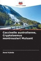 bokomslag Coccinelle australienne, Cryptolaemus montrouzieri Mulsant